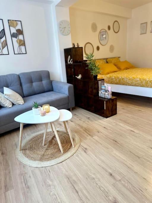 אמיינס Appartement Neuf Entierement Equipe Proche Centre מראה חיצוני תמונה